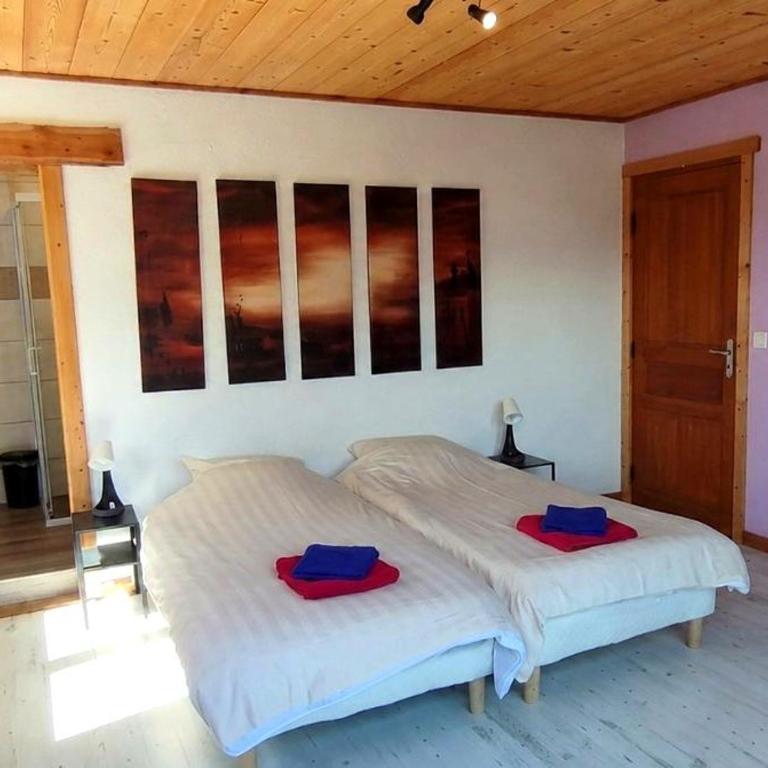 Grand Chalet Allemond Huez - Chalet Supérieur - 9