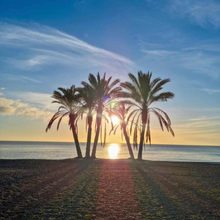 Breathtaking Sea Views at Los Alvarez - Three-Bedroom Apartment with Sea View - 15