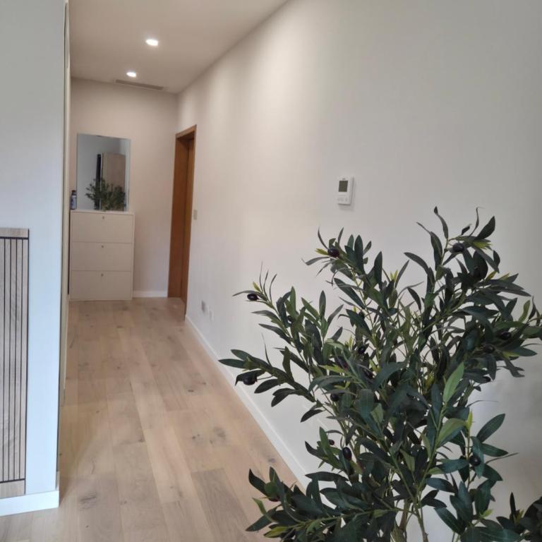 Verona Suite - One-Bedroom Apartment - 5