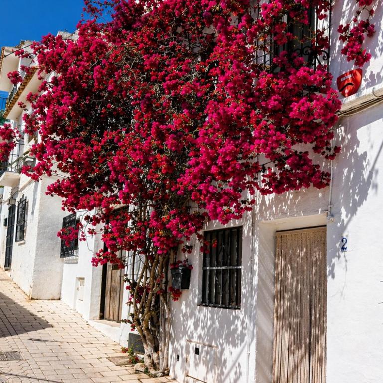 I love Villa Puerto Beach, Altea - Apartamento de 3 dormitorios - 70
