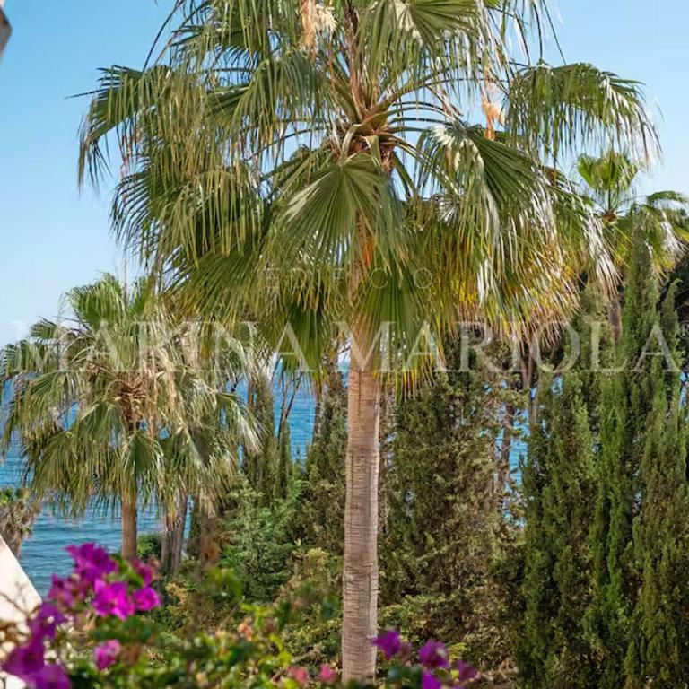Marina Mariola Marbella - Apartamento de 2 dormitorios con vistas al jardín - 5