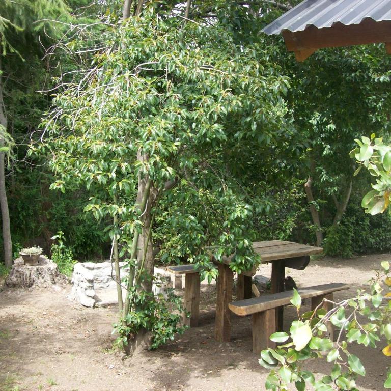 Tierras del Sur I un calido lugar - Apartamento de 1 dormitorio - 31