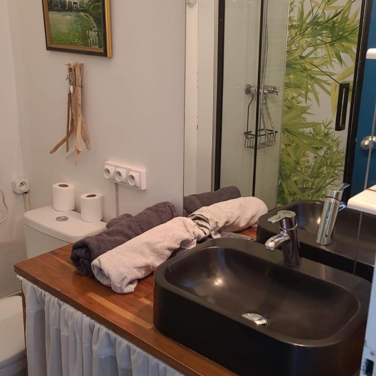Studio vue mer, accès plage - Apartment mit 1 Schlafzimmer - 6