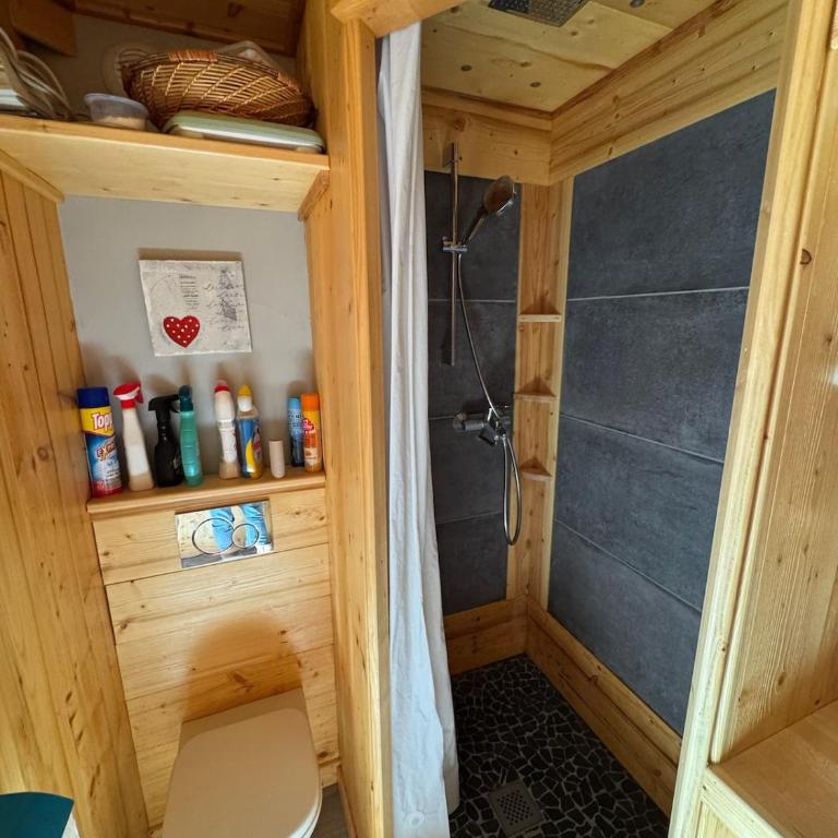 Appartement 6-8p PleinSud SkiAuPied Aime2000 - Appartement - 6