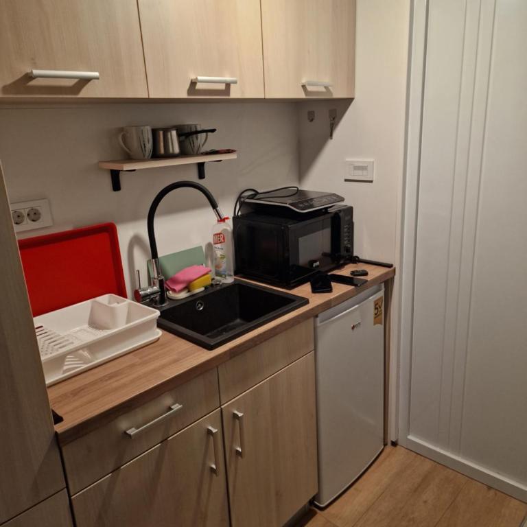 Kalemegdan Park Apartment Center - Apartman sa 1 Spavaćom Sobom - 3