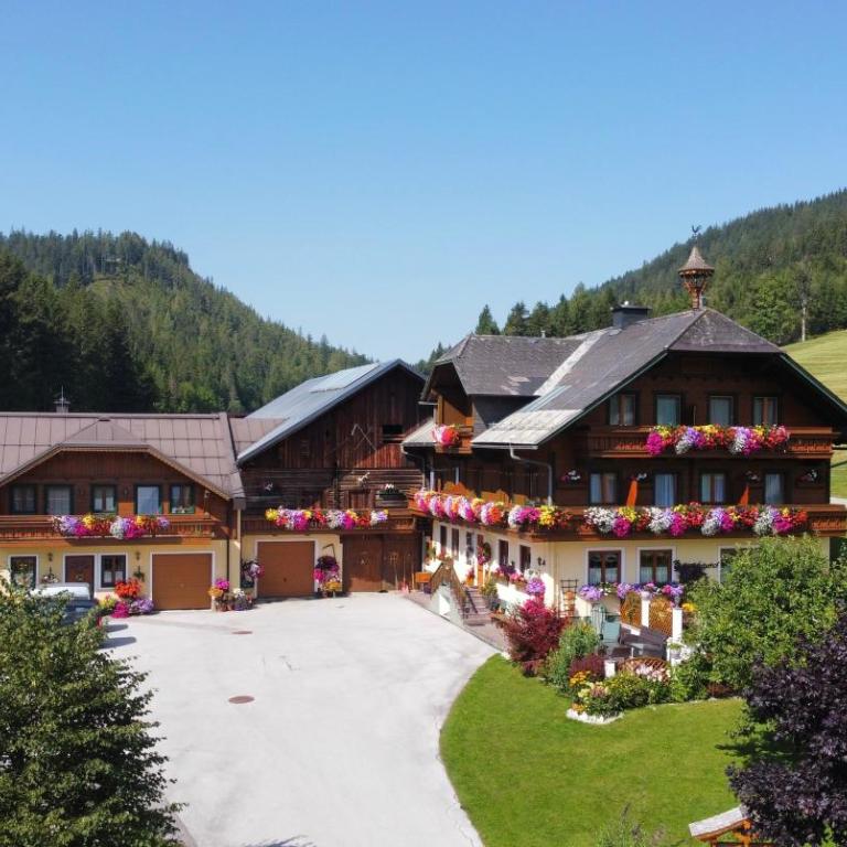Pension-Greimelbacherhof - Doppelzimmer mit Balkon - 5