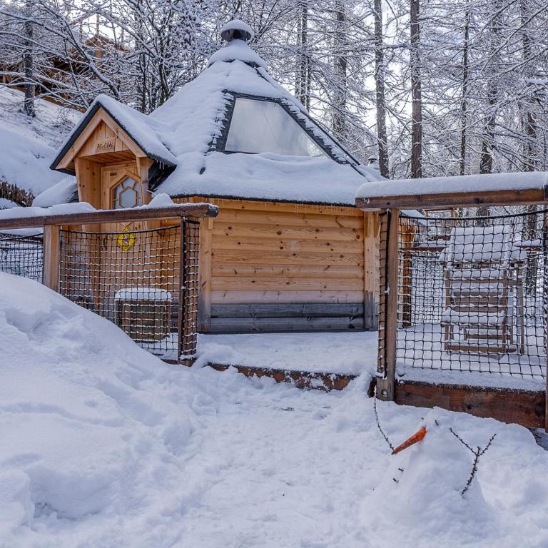 Alpin D'Hôme Hôtel & Spa - Kota - cabane finlandaise - 3
