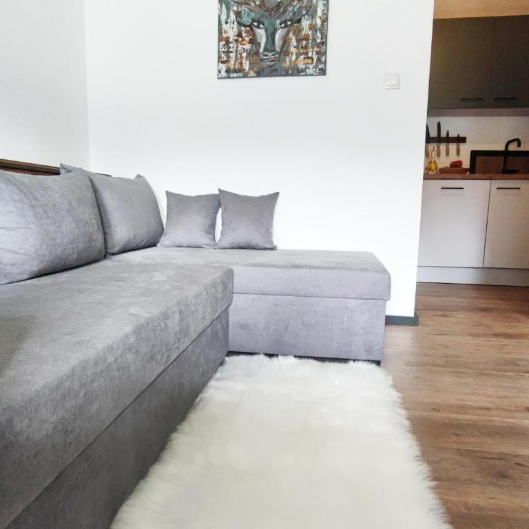 Apartment Mayrhofen near Horbergbahn - Apartment mit 2 Schlafzimmern - 11