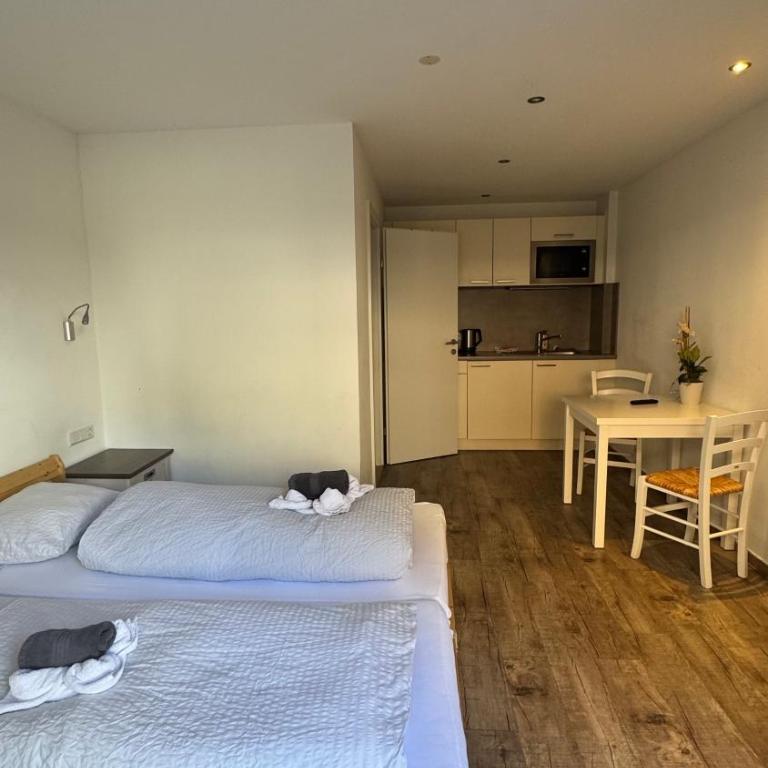 SKILL Mountain Lodge - Ski und Bike Hostel im Sommer mit JOKER CARD - Studio-Apartment mit Queensize-Bett - 10