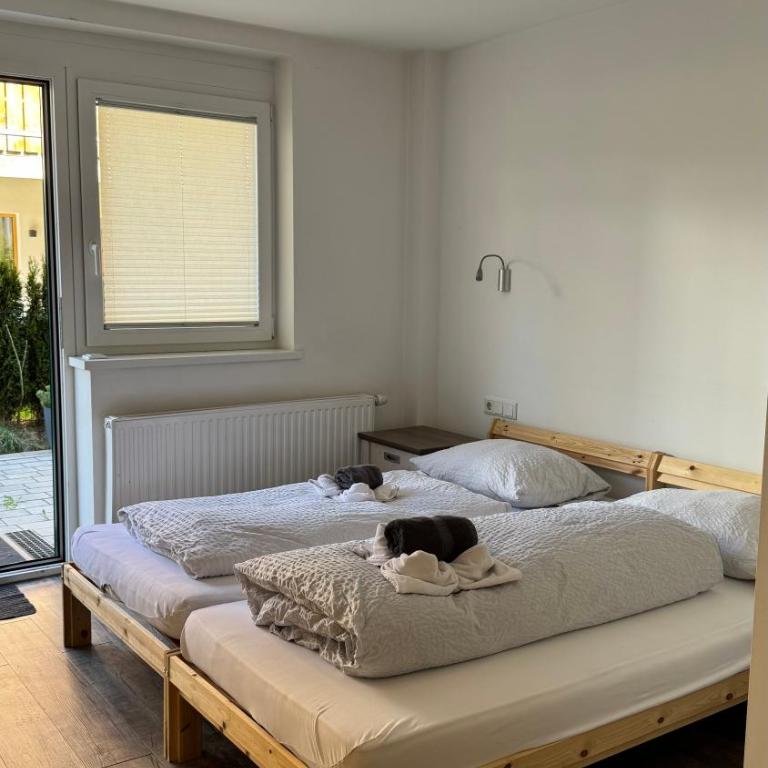 SKILL Mountain Lodge - Ski und Bike Hostel im Sommer mit JOKER CARD - Studio-Apartment mit Queensize-Bett - 15