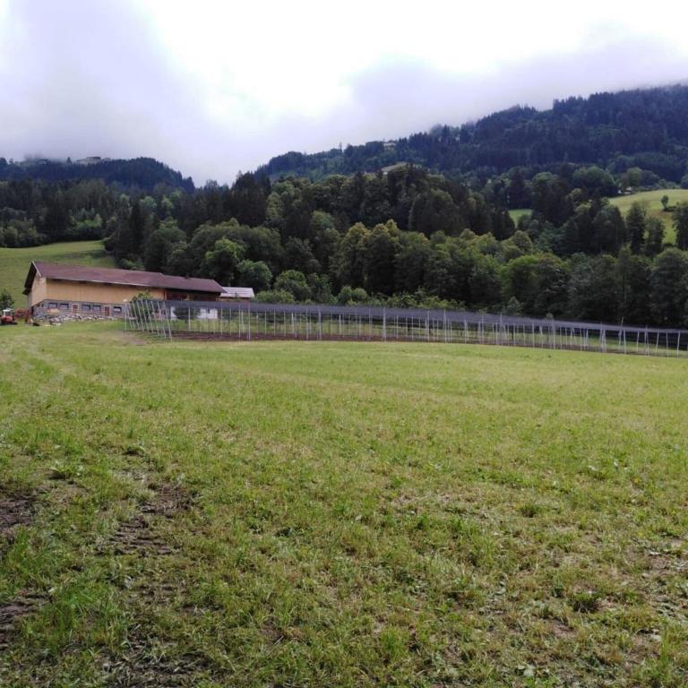 Holiday on an organic farm in Hart im Zillertal - Casa Vacacional de 3 dormitorios - 30