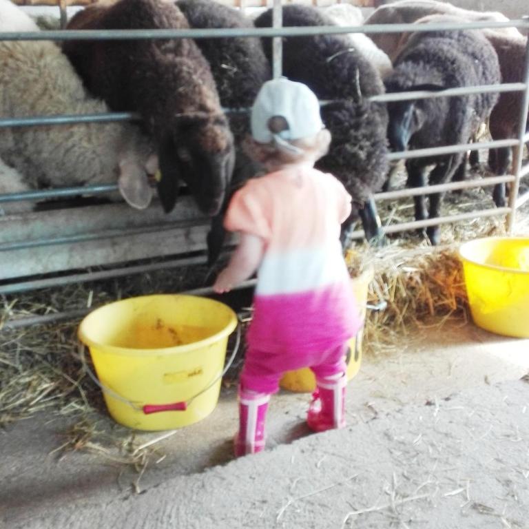 Holiday on an organic farm in Hart im Zillertal - Casa Vacacional de 3 dormitorios - 32