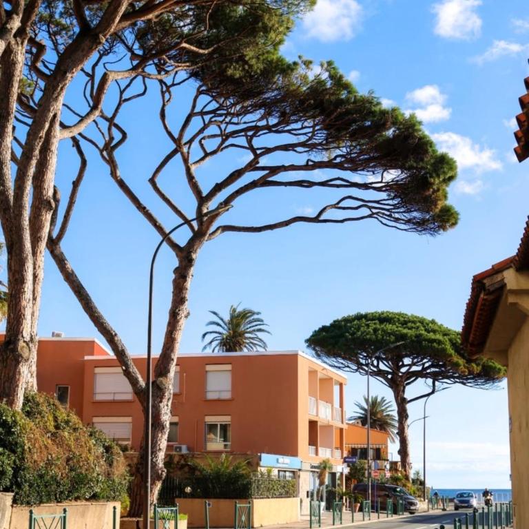 Studio Sainte-Maxime - Appartement 1 Chambre - 7