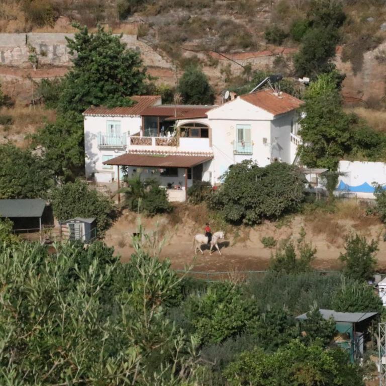 Finca Guay - Casa de 3 dormitorios - 61