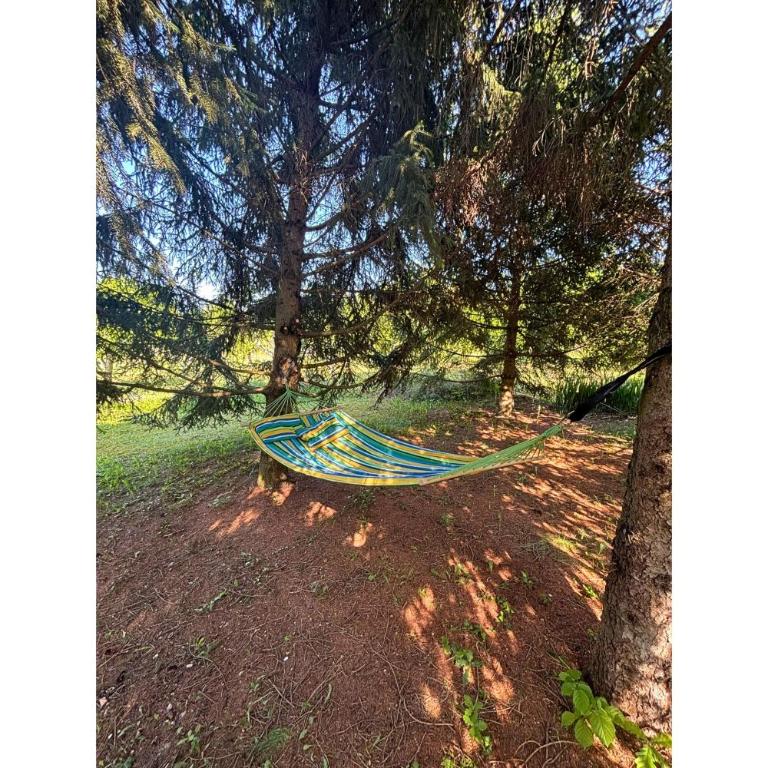 Appartamento Il Giglio - Relax in Langa - Appartamento con 1 Camera da Letto - 26