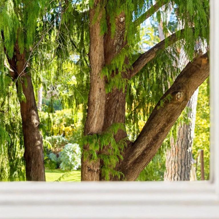 Jolie villa 5-pièces avec piscine et jardin - Maison de Vacances - 32