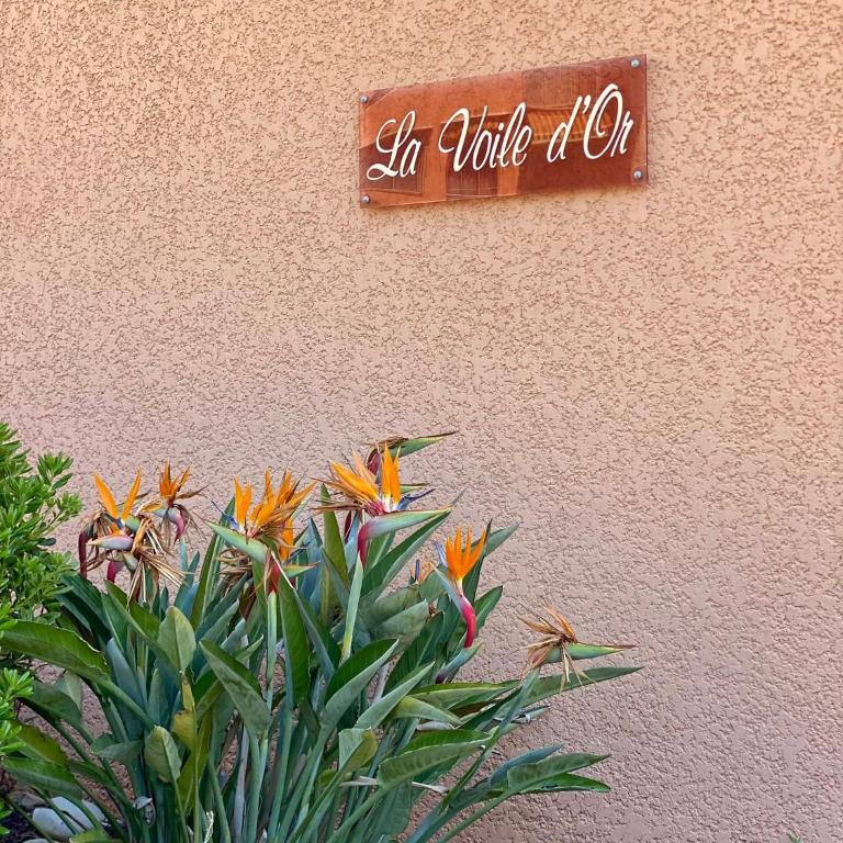 Très beau T2 proximité plage - Appartement 2 Chambres - 11