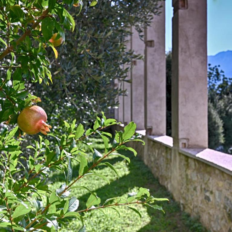 Lemon House Limonaia Pos, Lakeview Albergo Diffuso - Casa con 1 Camera da Letto - 18