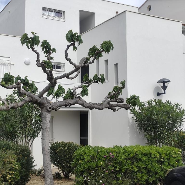 Appartement 4 personnes port Leucate - Apartment mit 1 Schlafzimmer - 16