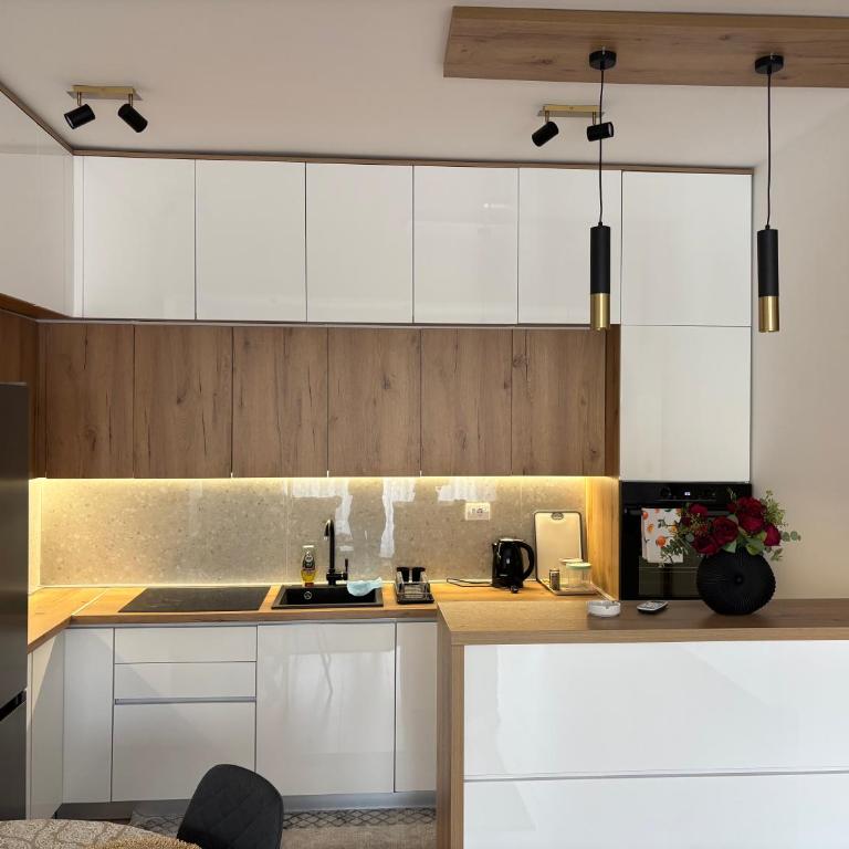 Pčelica Apartments - Superior Apartman sa 1 Spavaćom Sobom i Balkonom - 3