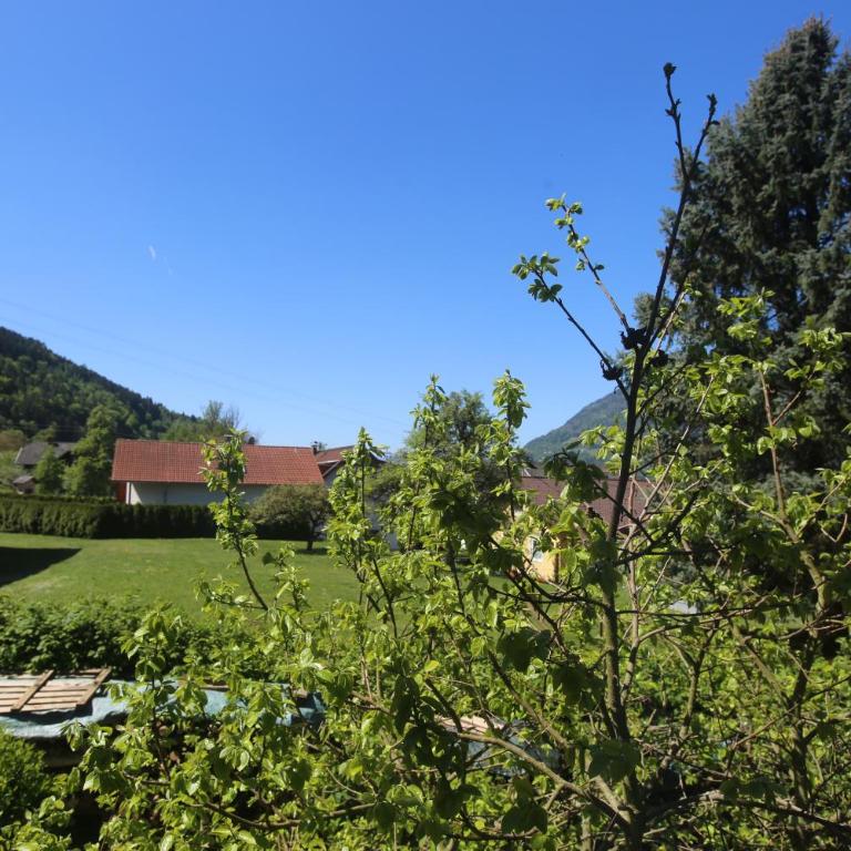 Ferienwohnungen Struggl - Apartment mit Seeblick - 43
