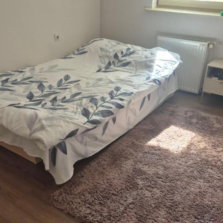 City Heart Luxury Apartment - City Center - Apartman sa 1 Spavaćom Sobom - 11