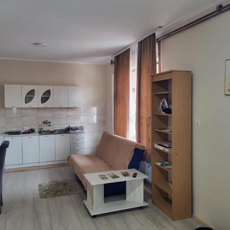 Apartman MAJA - Četvorokrevetna Soba sa Sopstvenim Kupatilom - 14