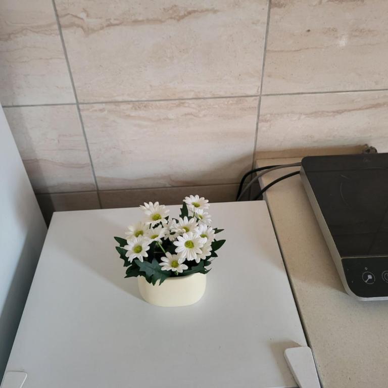 Apartman MAJA - Četvorokrevetna Soba sa Sopstvenim Kupatilom - 16