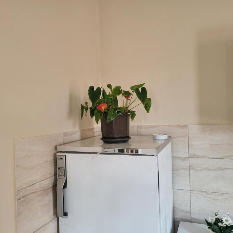 Apartman MAJA - Četvorokrevetna Soba sa Sopstvenim Kupatilom - 10