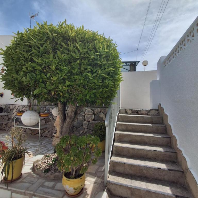 Casita Mona - Attractive Studio Apartment 4kms from the beach - One-Bedroom Apartment - 9