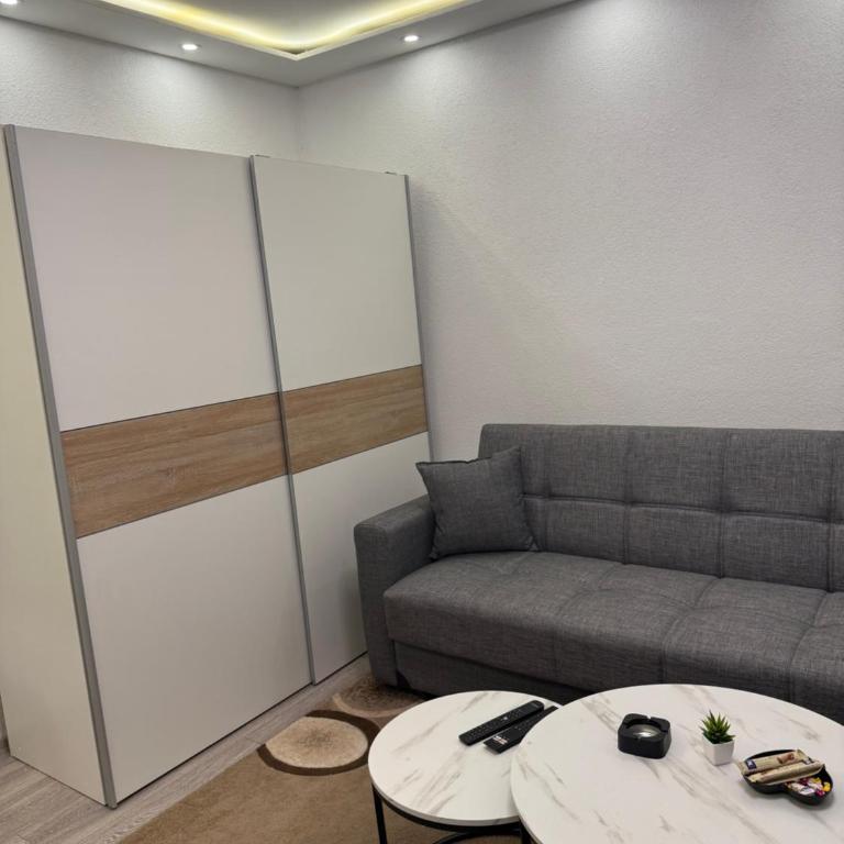 2A Apartment - One-Bedroom Apartment - 6