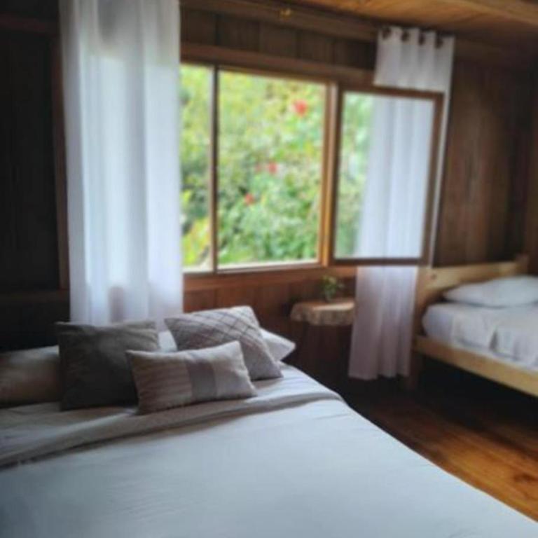 The Temple III, Mindo - Triple Room with Private Bathroom - 2