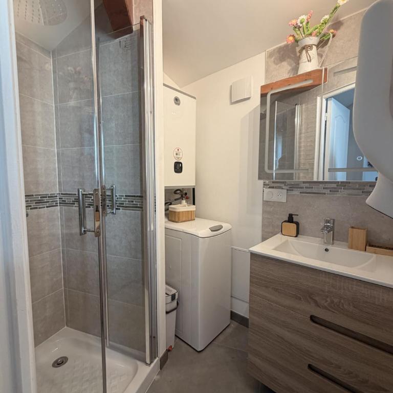 Magnifique studio rénové en plein centre - Apartment mit 1 Schlafzimmer - 3