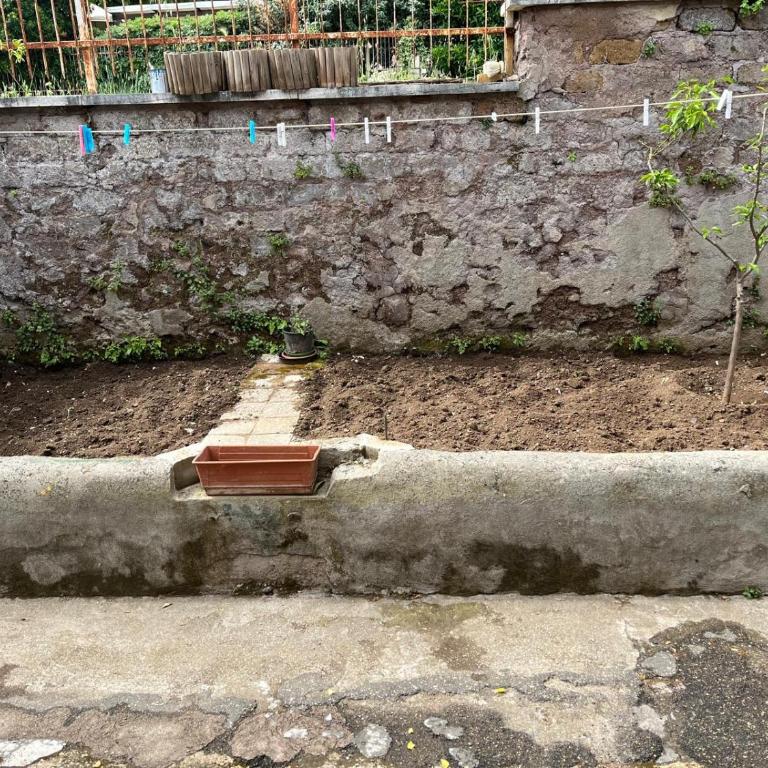 Casa Valle dei Casali near St Peters Basilica - Appartamento con 1 Camera da Letto - 36