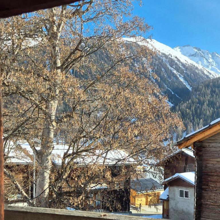 Stadel de Riedmatten - Chalet 1 Chambre - 15