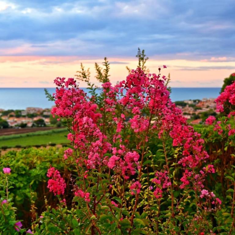 BILO BELVEDERE SX - Bilocale con giardino, wifi e vista mare - Appartamento con 1 Camera da Letto - 2