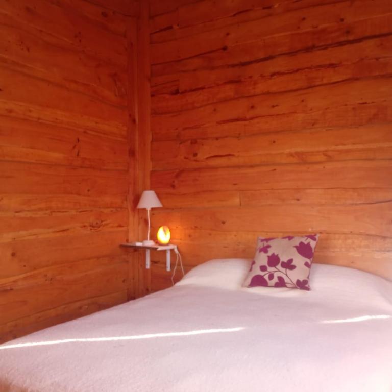 Cabaña Cardenal - Apartamento de 1 dormitorio - 9