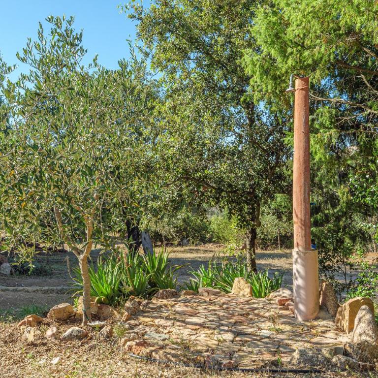 Sogno Suite - Appartamento con 1 Camera da Letto e Vista Giardino - 8