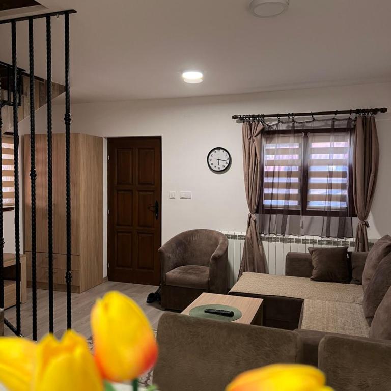 Apartman Sofiana - Apartman sa 1 Spavaćom Sobom - 6