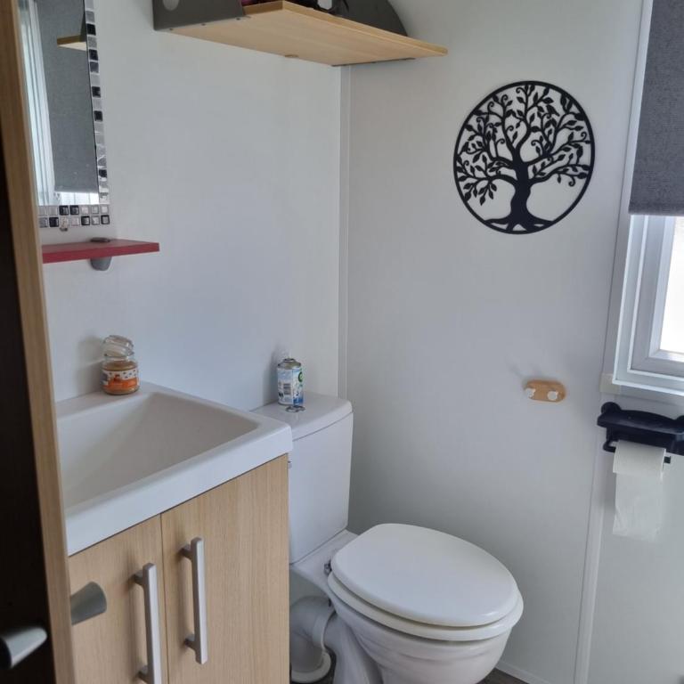 Camping L' Arlesienne - Mobile Home - 1