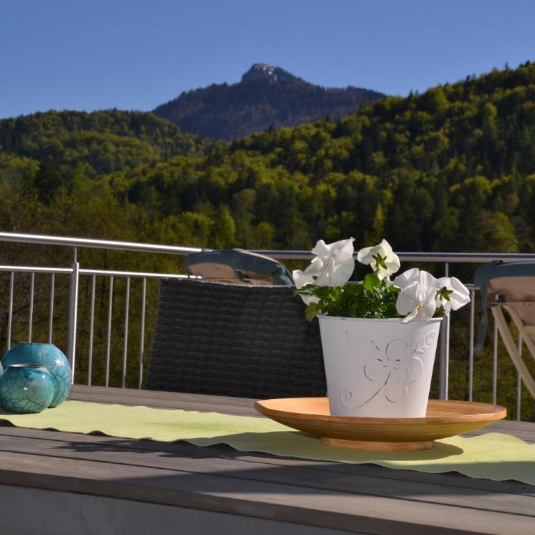 Casa Bicicletta - Apartment mit Seeblick - 31
