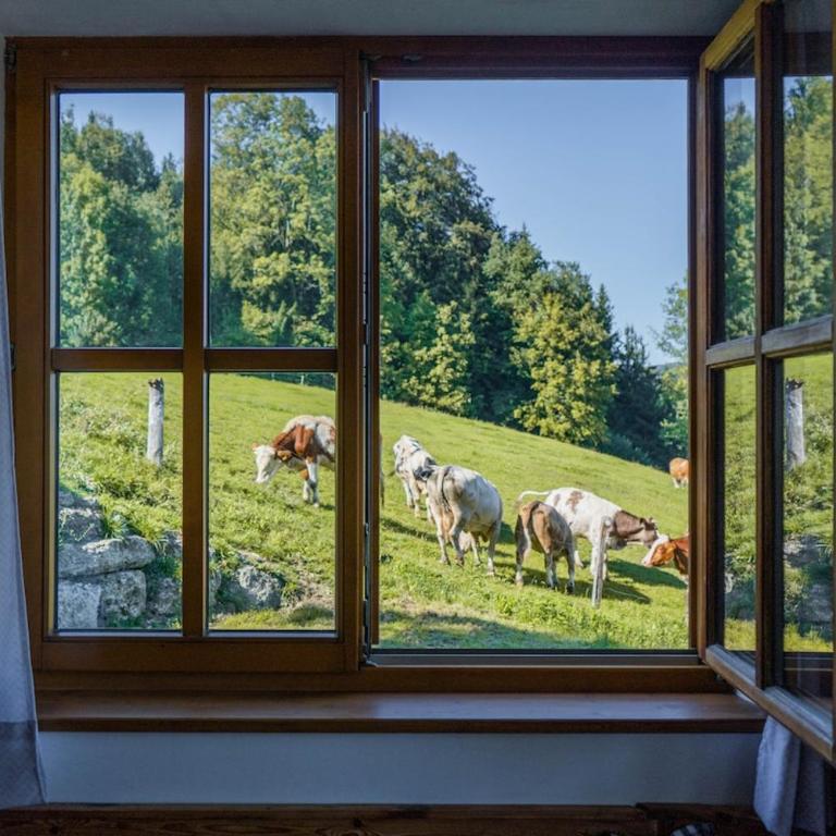 Urlaub am Bauernhof Anzerberg Salzkammergut - Apartment mit 2 Schlafzimmern - 9