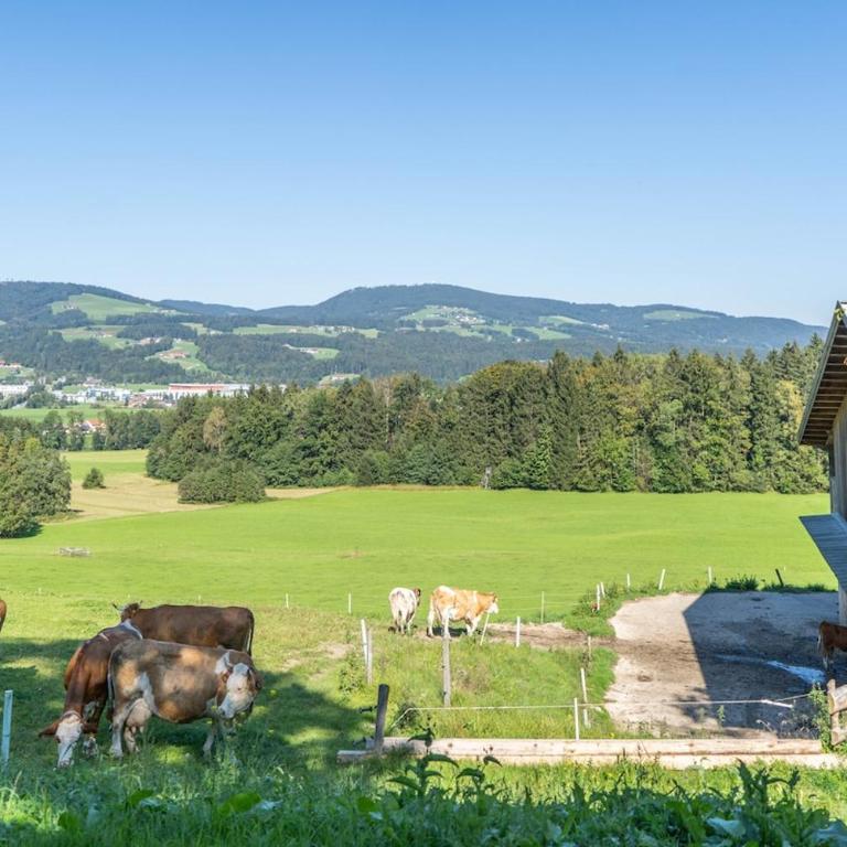 Urlaub am Bauernhof Anzerberg Salzkammergut - Apartment mit 2 Schlafzimmern - 20