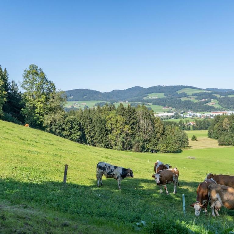 Urlaub am Bauernhof Anzerberg Salzkammergut - Apartment mit 2 Schlafzimmern - 19
