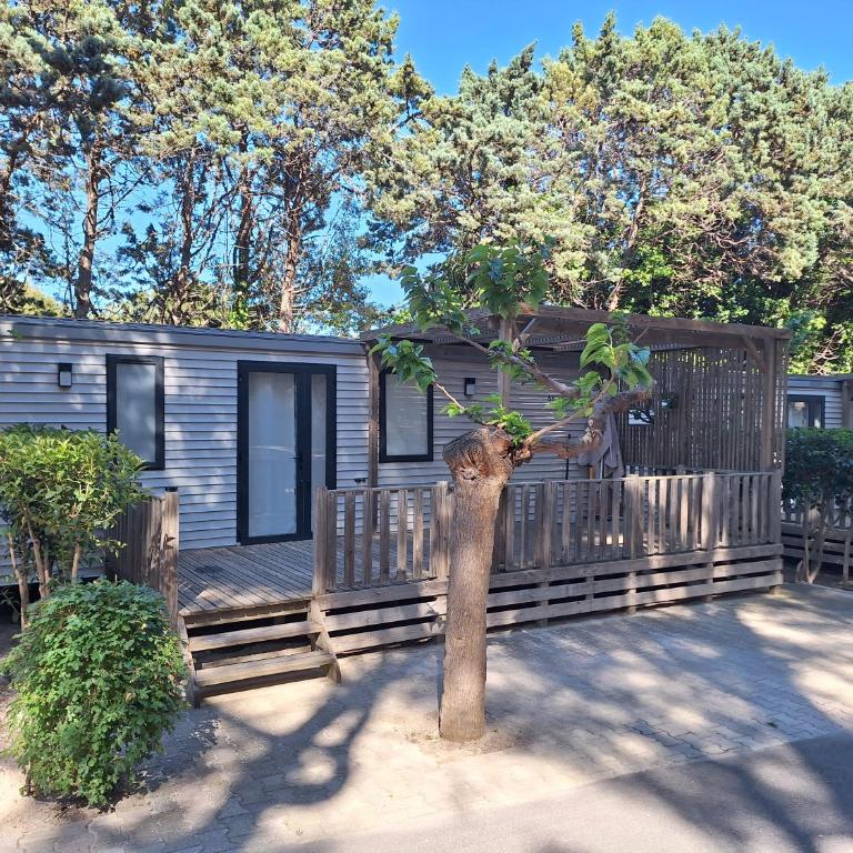 Camping Le Mas - Mobile Home - 2