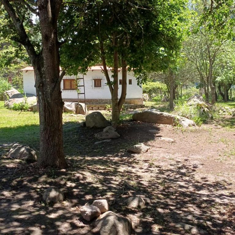 La Arcadia - Three-Bedroom House - 40
