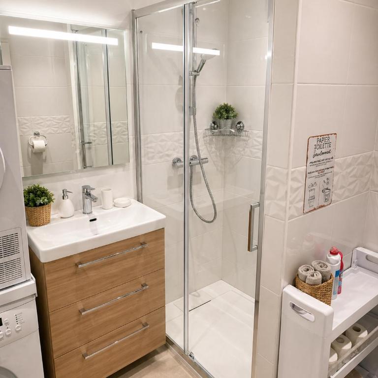 La Marmotte appartement cosy centre Briancon proche Prorel - Appartement 1 Chambre - 29