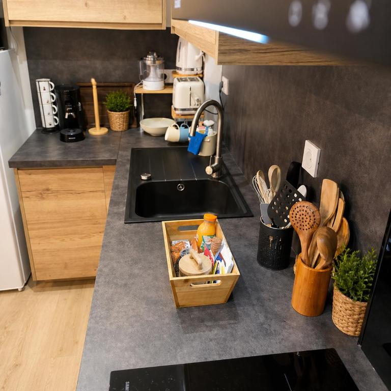 La Marmotte appartement cosy centre Briancon proche Prorel - Appartement 1 Chambre - 20