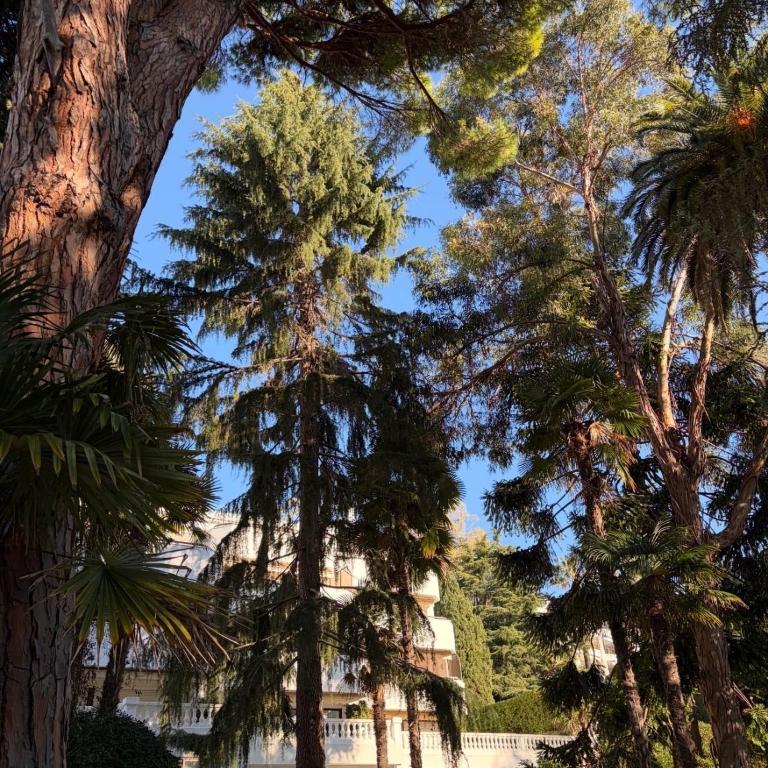 Calme absolu, élégant et arboré avec piscine - Appartement 1 Chambre - 46