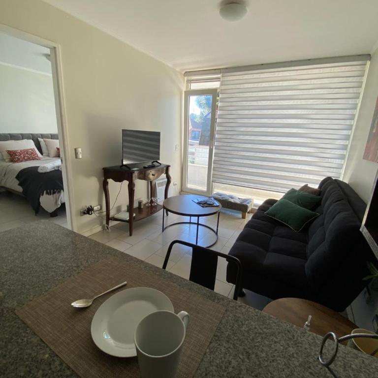 Emma - One-Bedroom Apartment - 6